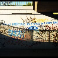 vandalism: as beautiful as a rock in a cop's face